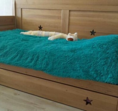 Одноярусная кровать тахта с дополнительным спальным местом.