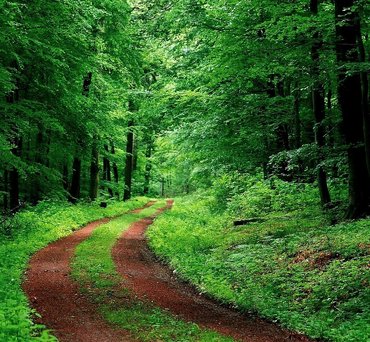 Мебель из массива Березы и Сосны.