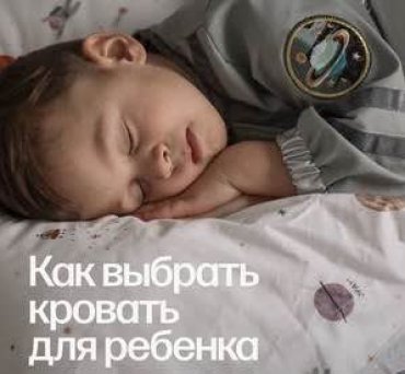 Массив ольхи или сосна? Фанера или ЛДСП? 